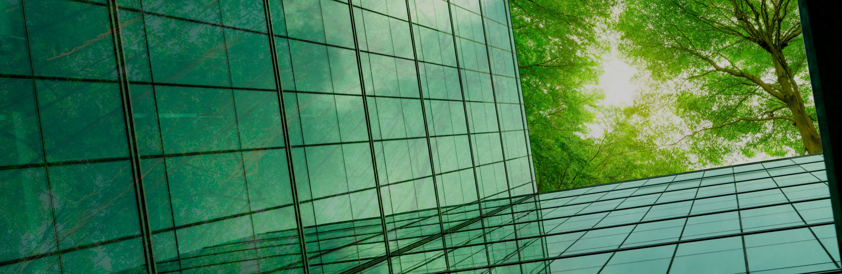 green-glass-trees.jpg